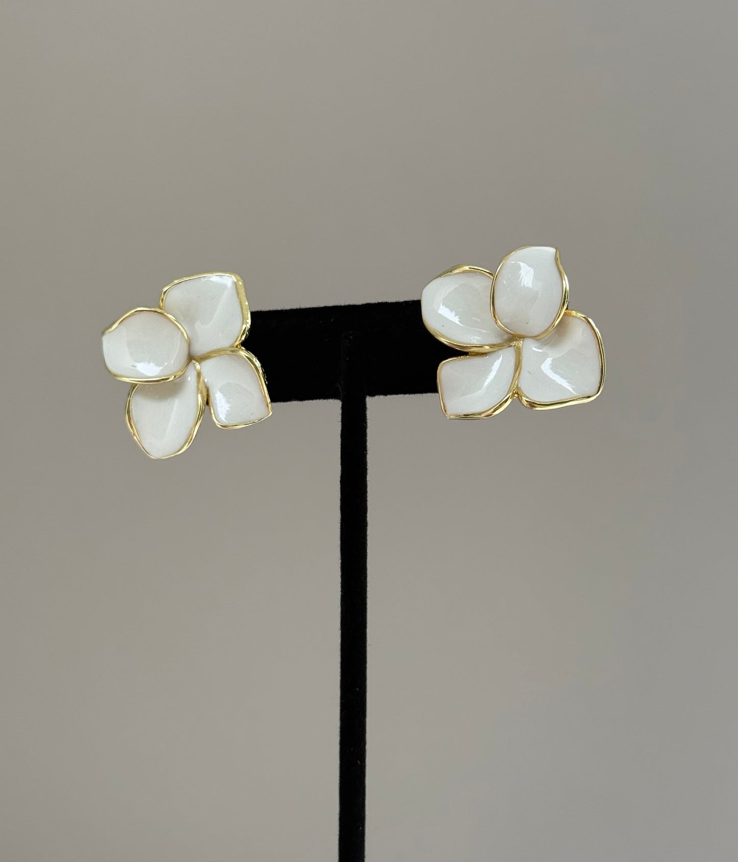 Solea Bloom