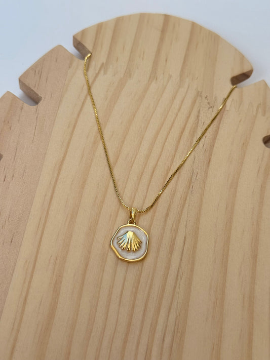 Isla Shell Medallion