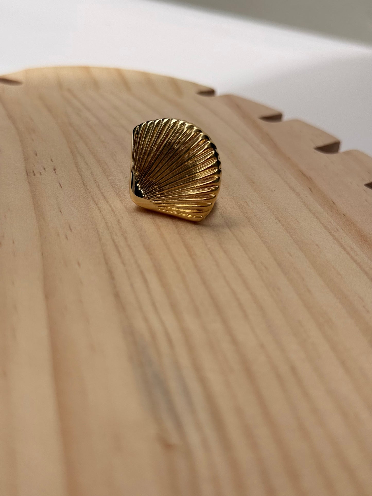 Isla Fan Shell